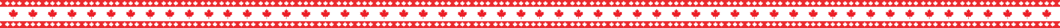 canada flag 1
