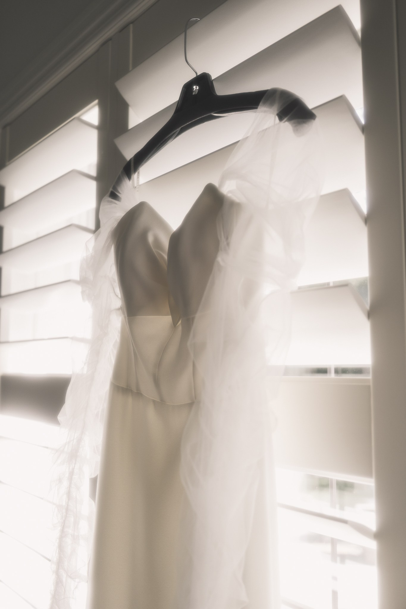 Veronica and Mark's Wedding Wedding Photo 14