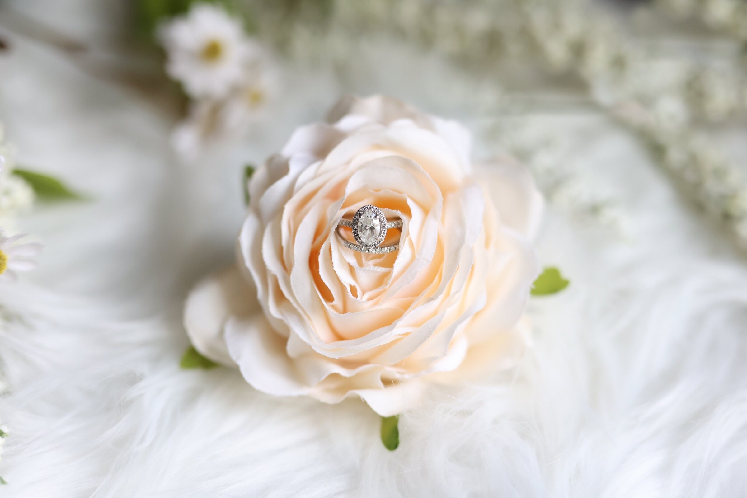 The Legacy Collection: Coast-to-Coast Love Stories Wedding Photo 6